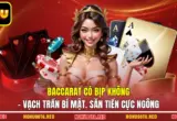 Baccarat Có Bịp Không - Vạch Trần Bí Mật. Săn Tiền Cực Ngông